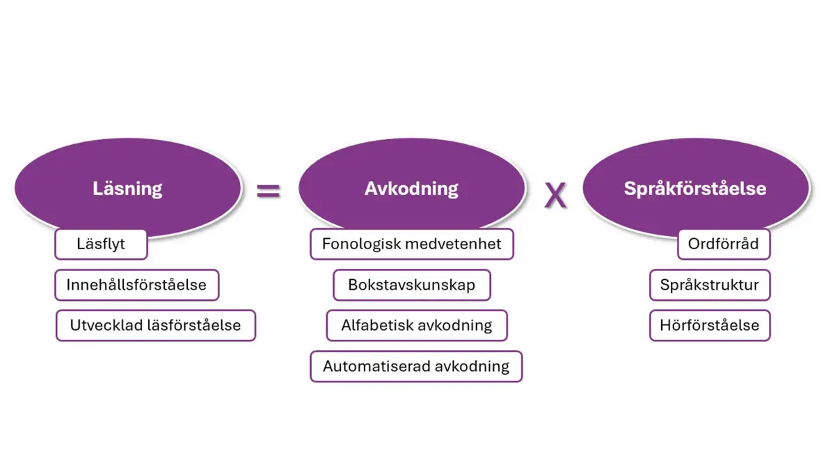 Visuell modell av The simple view of reading som beskrivs i texten